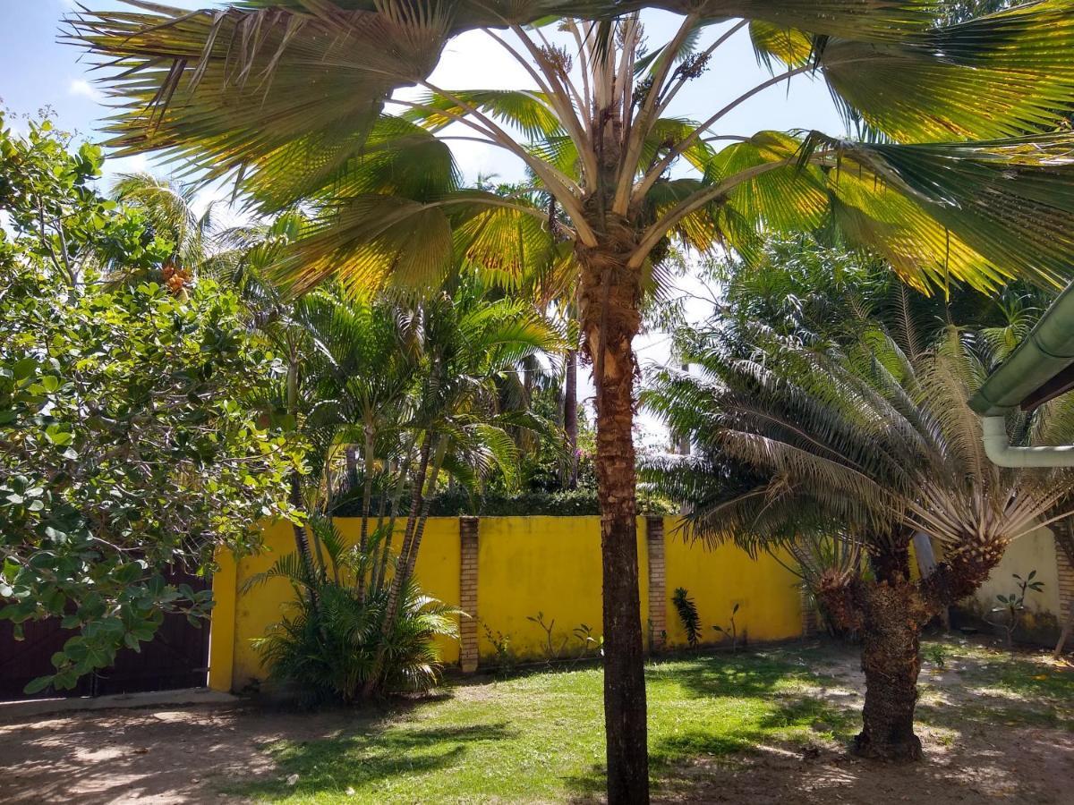 Hotel Pousada Porto Do Colibri Pôrto das Galinhas エクステリア 写真