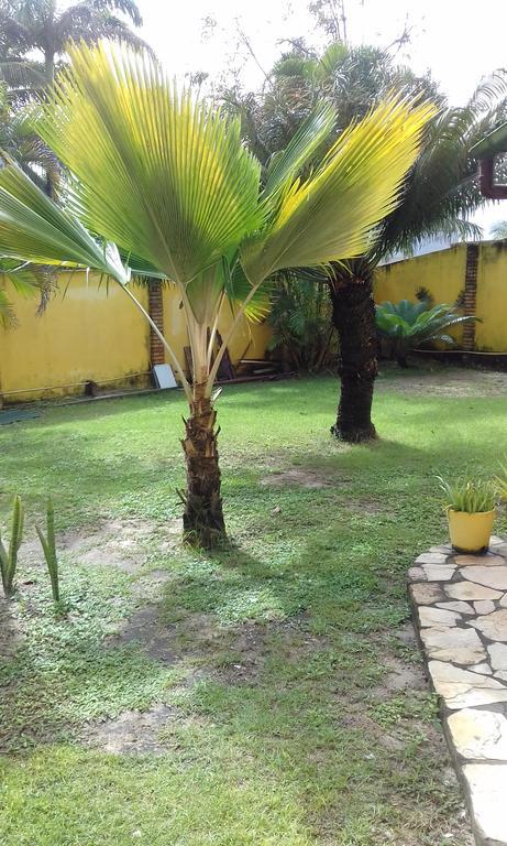 Hotel Pousada Porto Do Colibri Pôrto das Galinhas エクステリア 写真